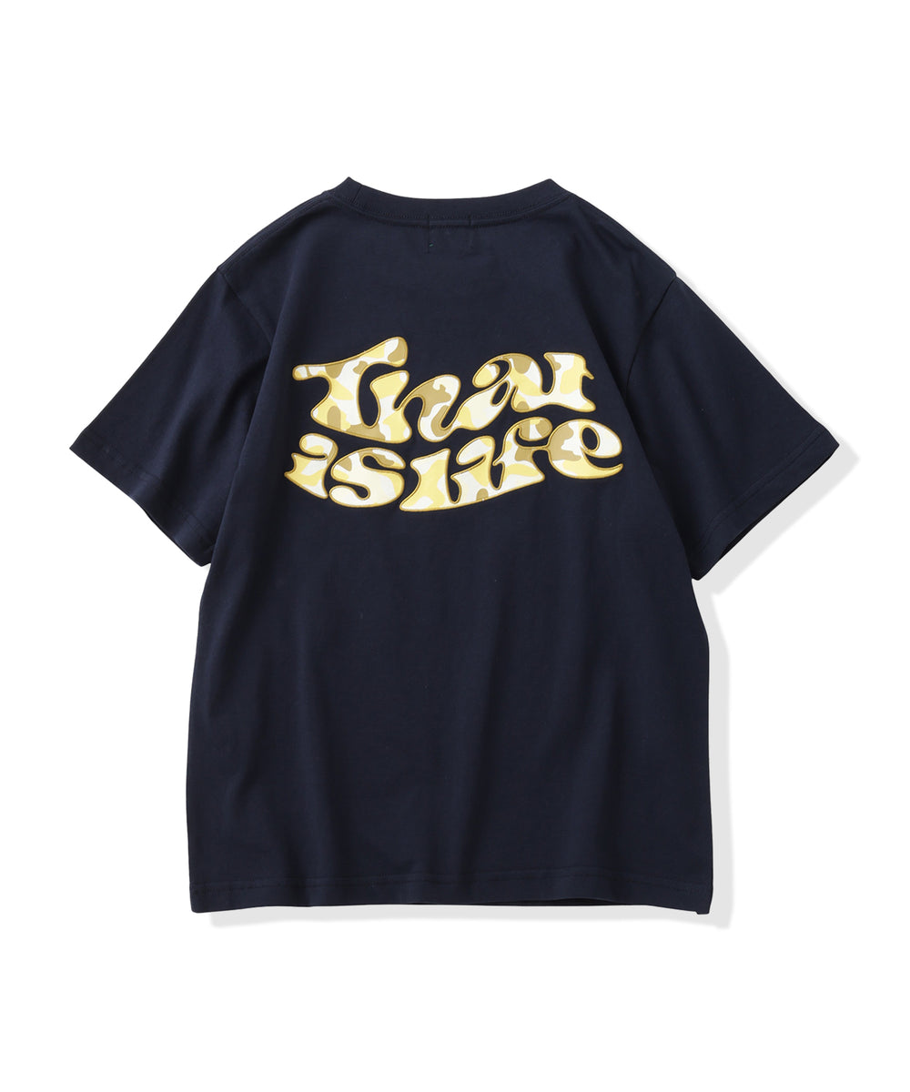 Wave logo set up